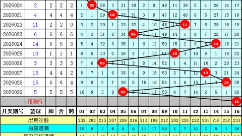 大乐透2026年020期专家推荐后区杀一码分析